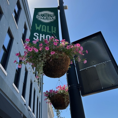 Downtown baskets from VanBecelaere's Greenhouse, and maintained by Pittsburg Beautiful and the City