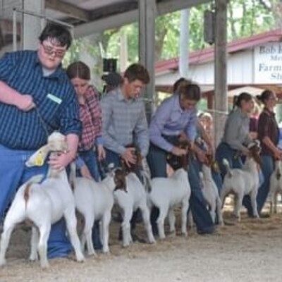 Goat Show