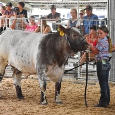 Beef Show
