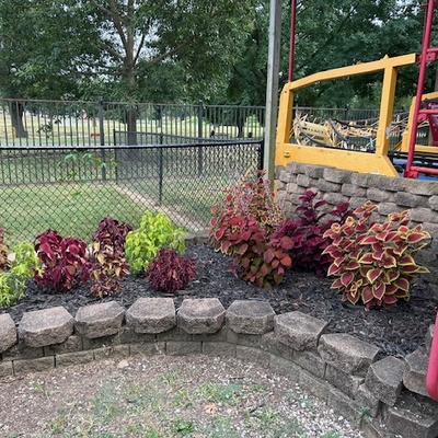 Friends of Kiddie Land planted coleus near the roller coaster...stay tuned for more