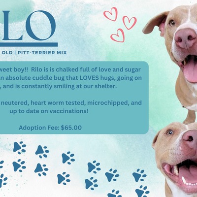 Rilo