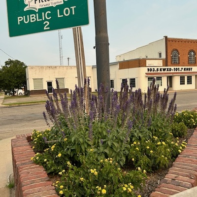 Root Garden planted by Helen Sallee, Linda Britt, & Sharon Brees; Partnership with In The Garden